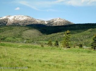 1185 S Sorensen Way, Alta, WY 83414