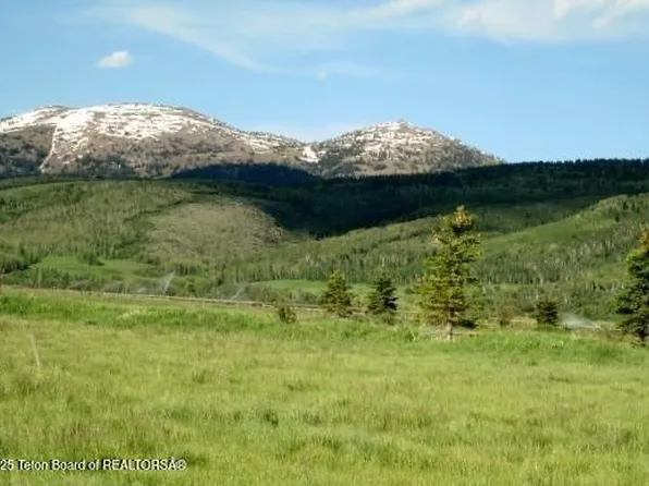 1185 S Sorensen Way, Alta, WY 83414