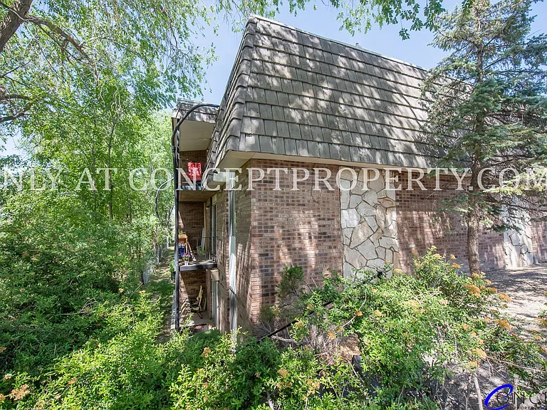 Ponderosa — Photo 129
