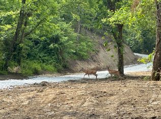 45678910 Clay Camp Rd, Hitchins, KY 41146