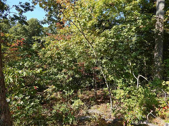2nd image of LOT 39 Wallace Cemetery Ln