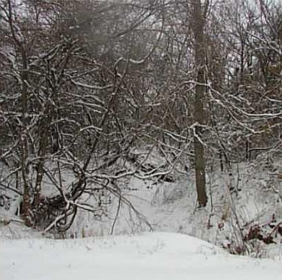 2nd image of 132nd