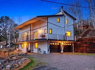 1170 Apex Valley Rd, Central City, CO 80427
