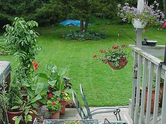 Deck - Back Yard