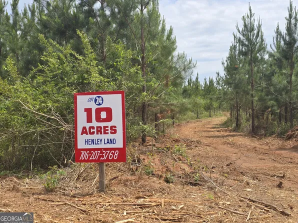 24 Marvin Murphy Rd, Ellaville, GA 31806