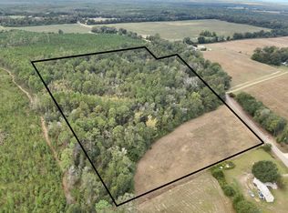 Mount Zion Rd, Cottonwood, AL 36320