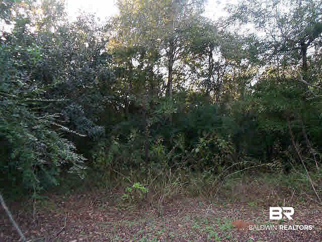 1st image of 0 S Lari Bel Dr