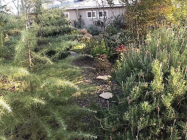 1st image of 8843 Mavis Ave