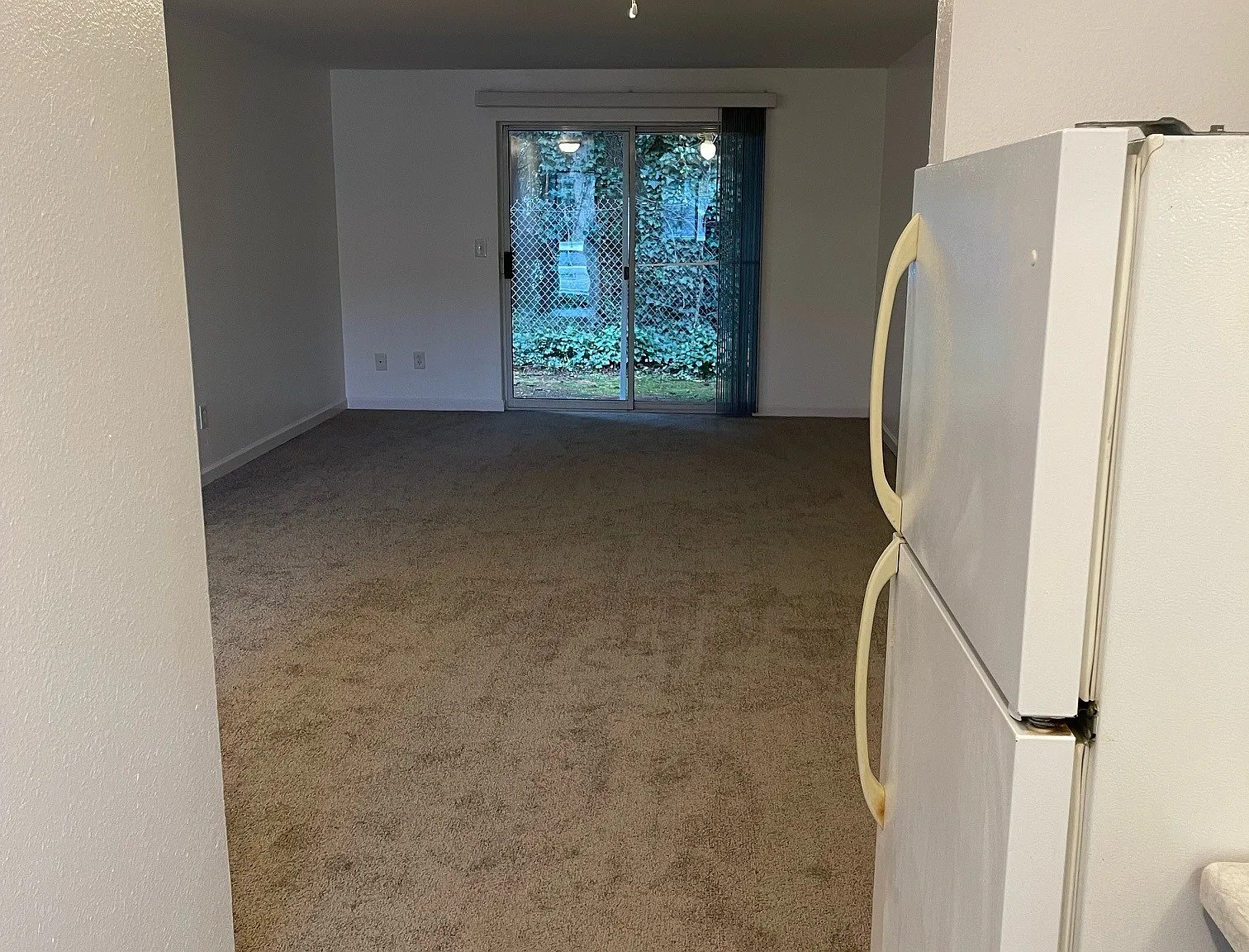 Birchwood Lane Apartments — Photo 3