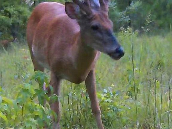 3rd image of 2501 Dennis Rd