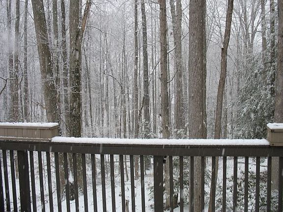 5th image of 6261 Occoquan Forest Dr