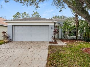 10417 Paragon Pl, Riverview, FL 33578