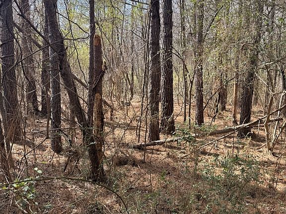 2nd image of 950 John W Breedlove Rd NW