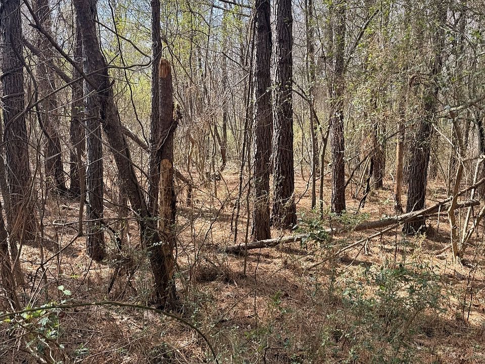 2nd image of 950 John W Breedlove Rd NW