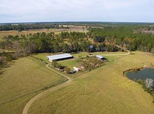 870 Liege Gay Rd, Lyons, GA 30436