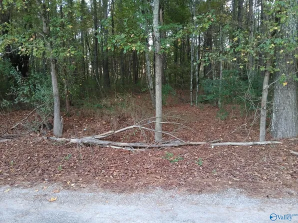107 County Road 366, Trinity, AL 35673