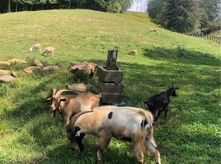 3936 State Highway 197 N, Green Mountain, NC 28740