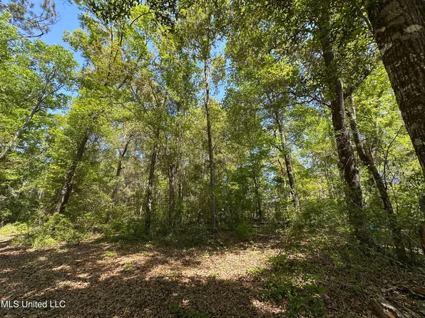 Kale Pl, Diamondhead, MS 39525