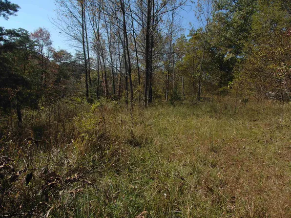 139 Buckeye Ln #Liv, Olive Hill, KY 41164