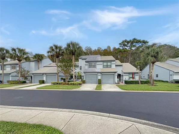4123 BRENTWOOD PARK CIRCLE, TAMPA, FL 33624