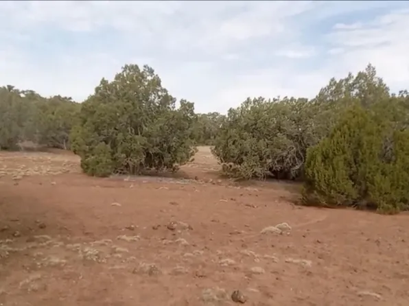 Lazy O Ln, Show Low, AZ 85901