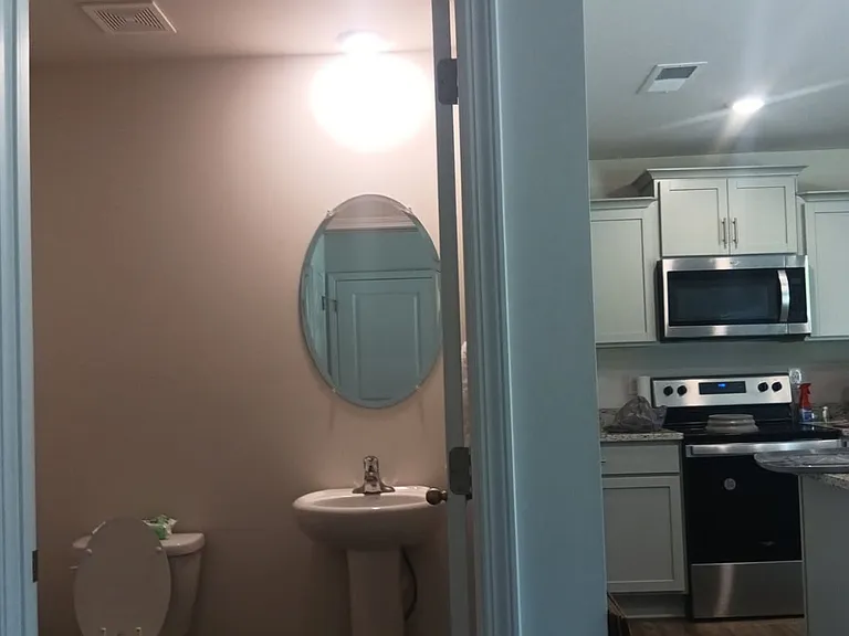271 Lilys Pl — Photo 9
