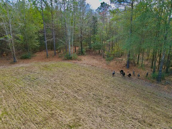 5th image of 21518 Homer Smith Rd