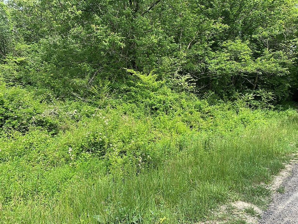 1st image of Greasy Creek Rd