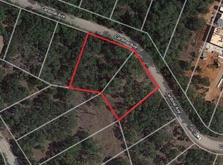 21501 Cardinal Ave, Leander, TX 78645