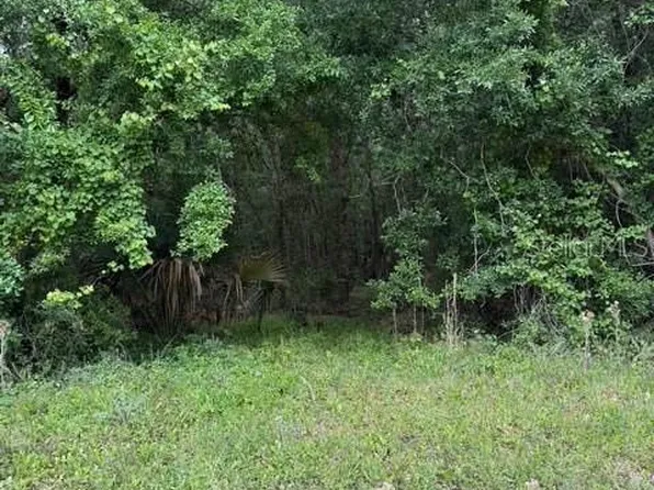 190 Catherine St Lot 4, Bunnell, FL 32110