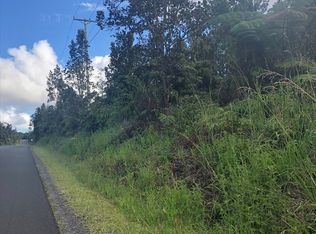 11 3113th #1960, Volcano, HI 96785