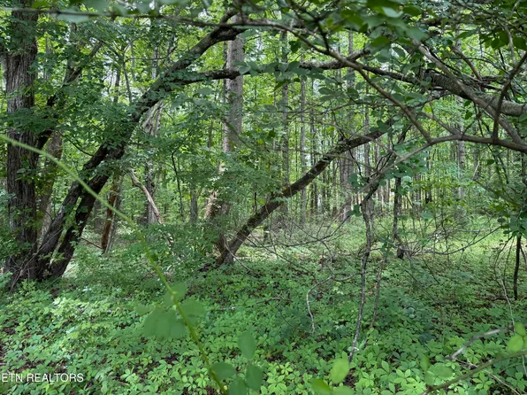 Lollar Dr, Monterey, TN 38574