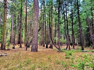 3137 Shoshone Dr #12, Arnold, CA