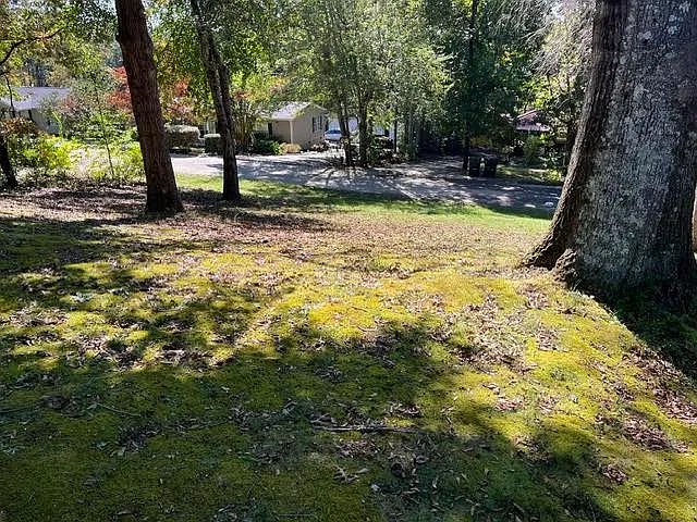 3 bed, $2,495 — Photo 3