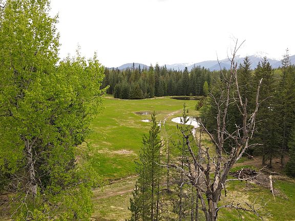 2nd image of 0 Elk Meadow Ln