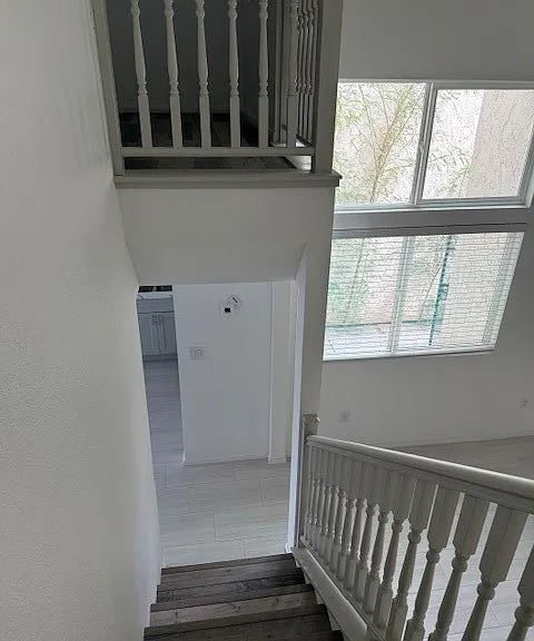 1203 Mews Ln — Photo 30