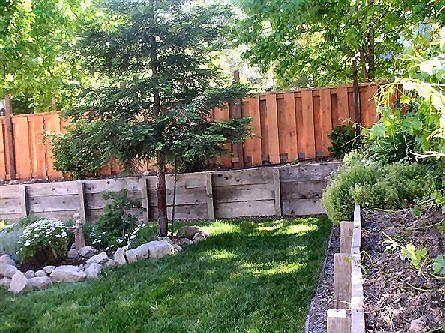 Lawn in backyard and rock garden.