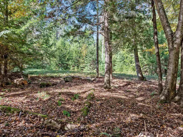 442 VT Route 12 #2, Middlesex, VT 05602