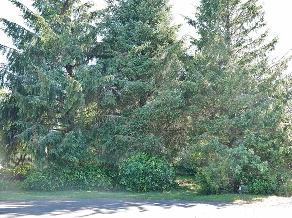 223 Muskrat Court SW, Ocean Shores, WA 98569