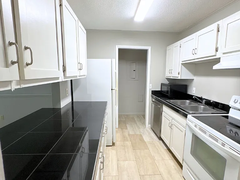 8881 Millard Lee Ln — Photo 5