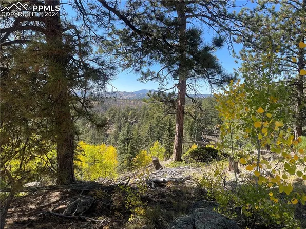 3203 Highland Meadows Dr, Florissant, CO 80816