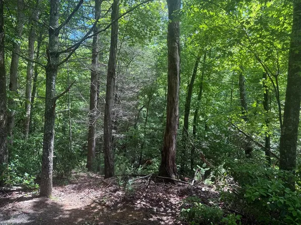 68 Hunter Rdg, Ellijay, GA 30540