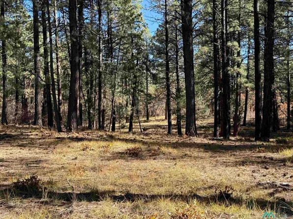 Venado, Chama, NM 87520