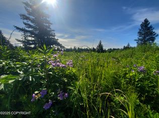 17626 Chefornak St, Ninilchik, AK 99639