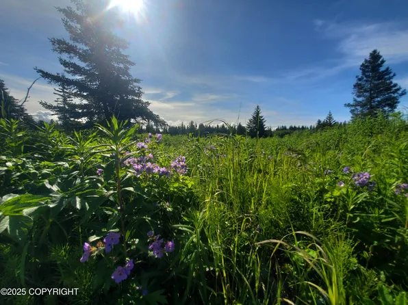 17626 Chefornak St, Ninilchik, AK 99639