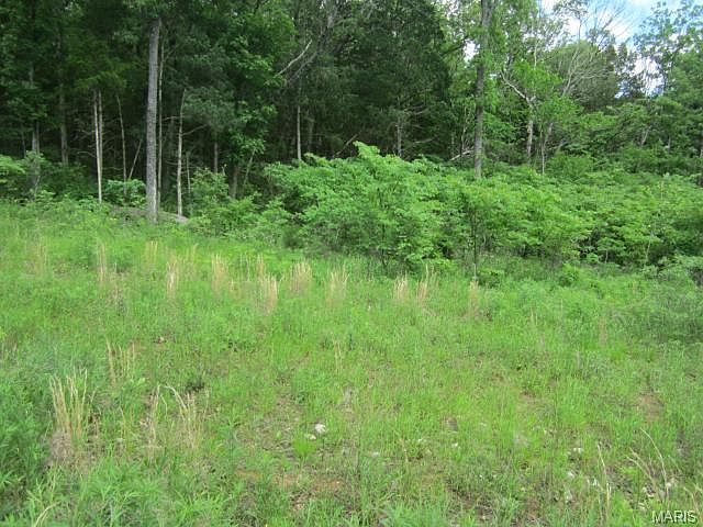 2nd image of 8212 Wild Acre Meadows Dr
