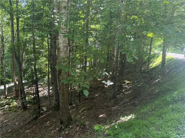 200 Wild Daisy Road, Beech Mountain, NC 28604