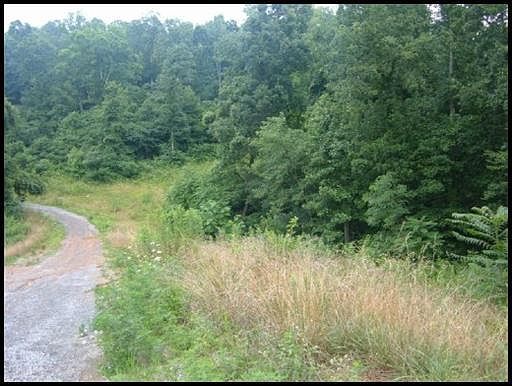 2nd image of Long Beard Ln