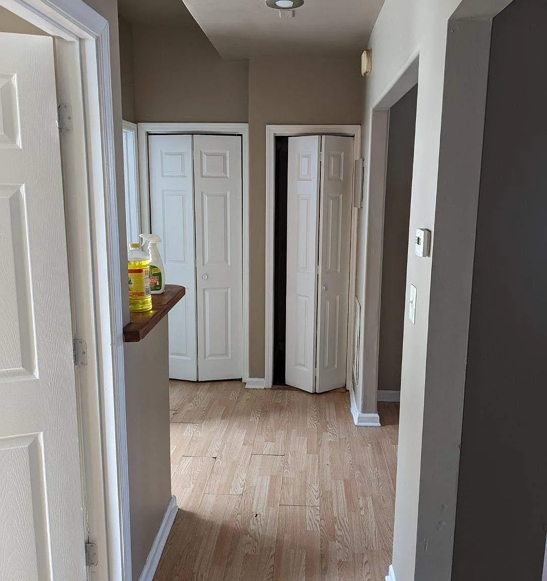 1 bed, 520 sqft, $900 — Photo 4