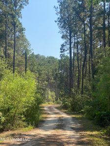 60 Horseshoe Ln, Carriere, MS, 39426